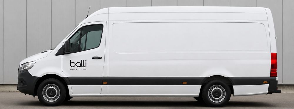 balli Transporter im Seitenprofil